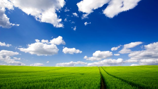 Windows-XP-wallpapers-4.jpg, 499 KB